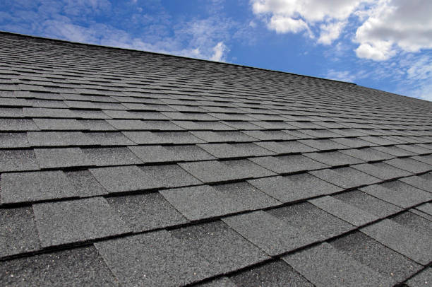 Best Asphalt Shingle Roofing  in Delmont, PA